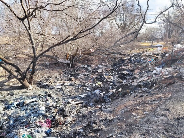 Restos-incendio-vertedero-ilegal-Pinto-1