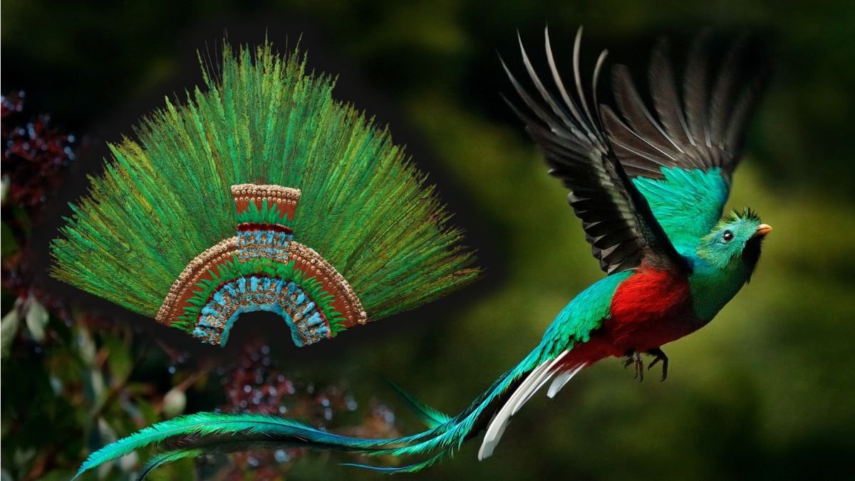 xr:d:DAEMfo9Q8sY:8231,j:46620320775,t:23020805