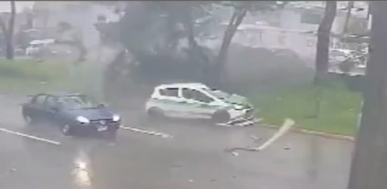 portada-rayo-arbol-rama-accidente-xalapa-taxi-focus-0-0-1098-747