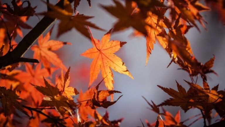 equinoccio-otoño-1024x576