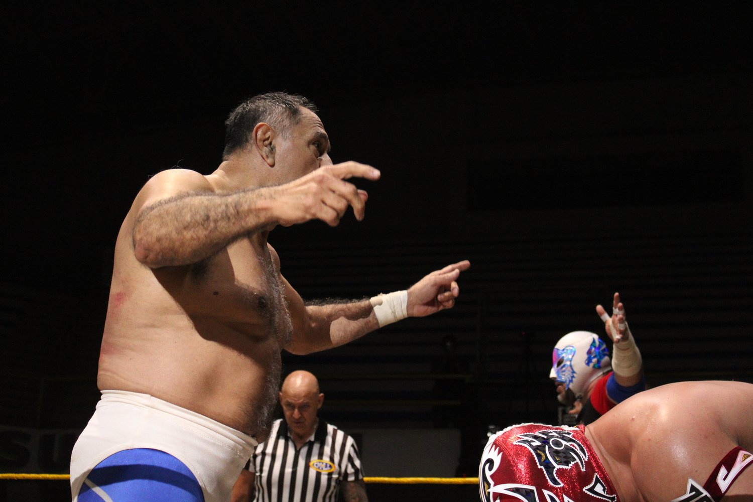 La dinastía Panther derrota a Gran Guerrero y Elemental