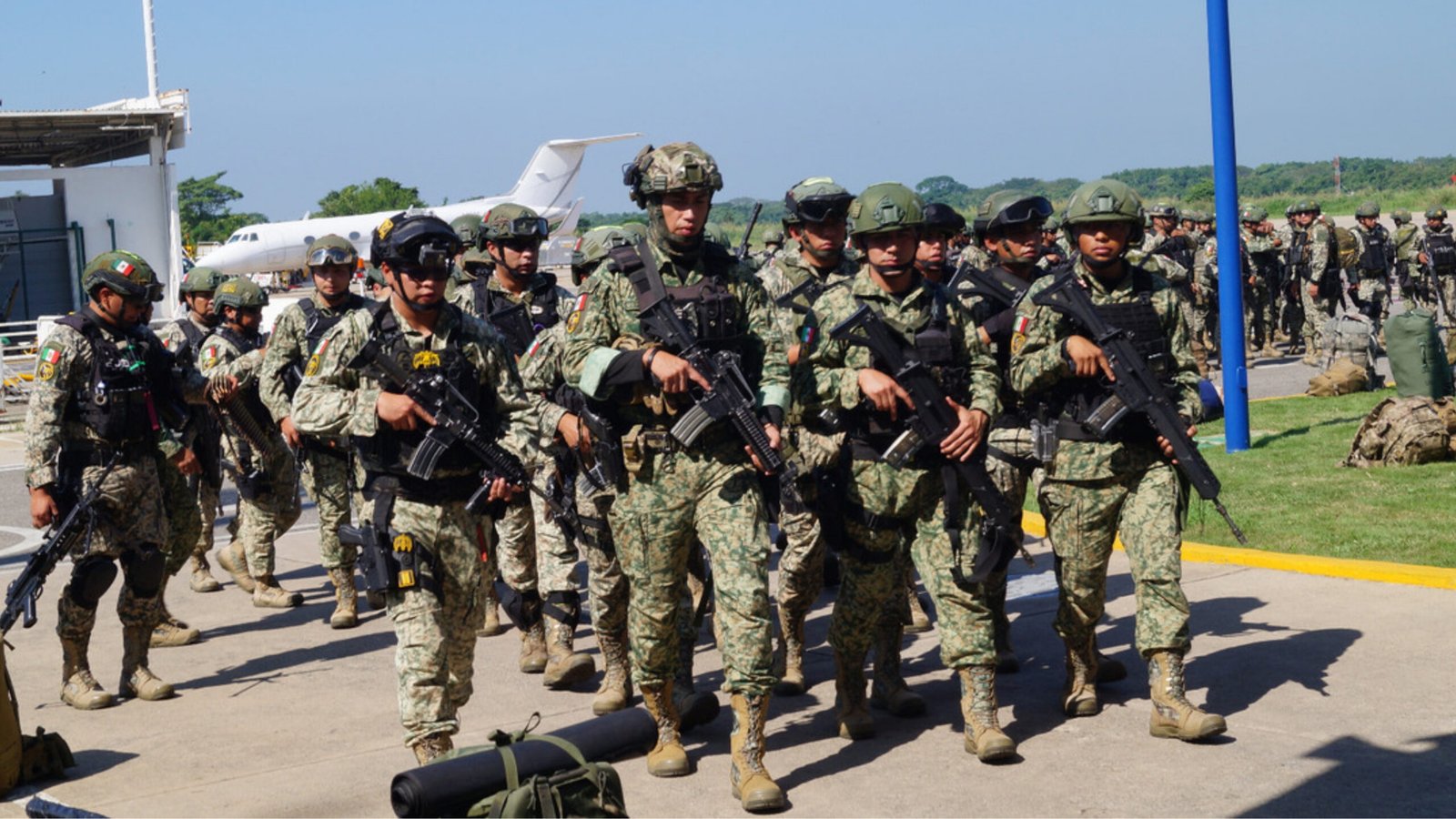 Plecas e informacion - 2026-02-12T133505.303