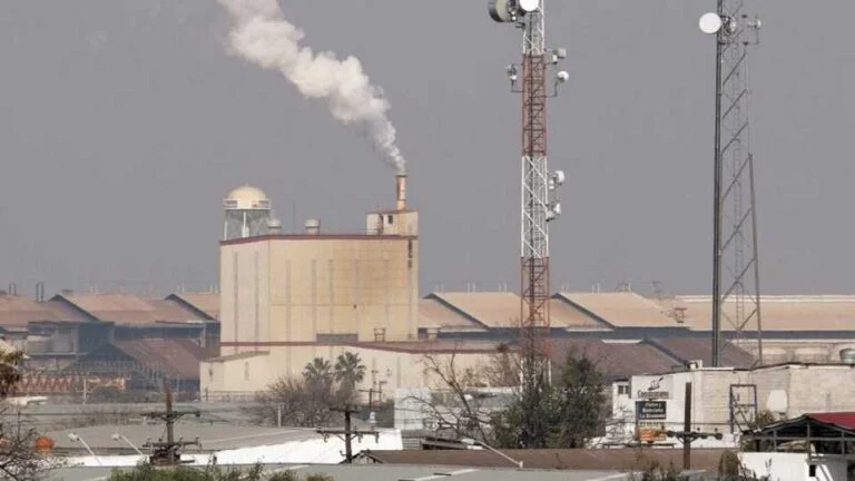 Plecas-e-informacion-2026-02-16T225700.606-768x432