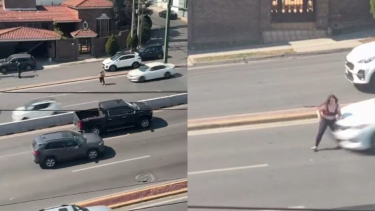 Plecas e informacion - 2026-02-18T164350.908