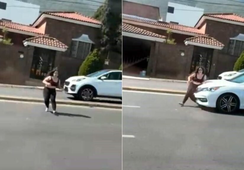 Presentación Libre Producto (12)