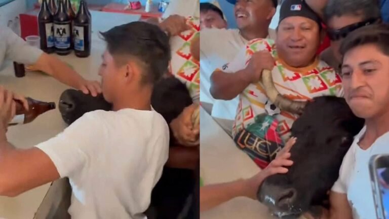 Presentación Libre Producto (37)