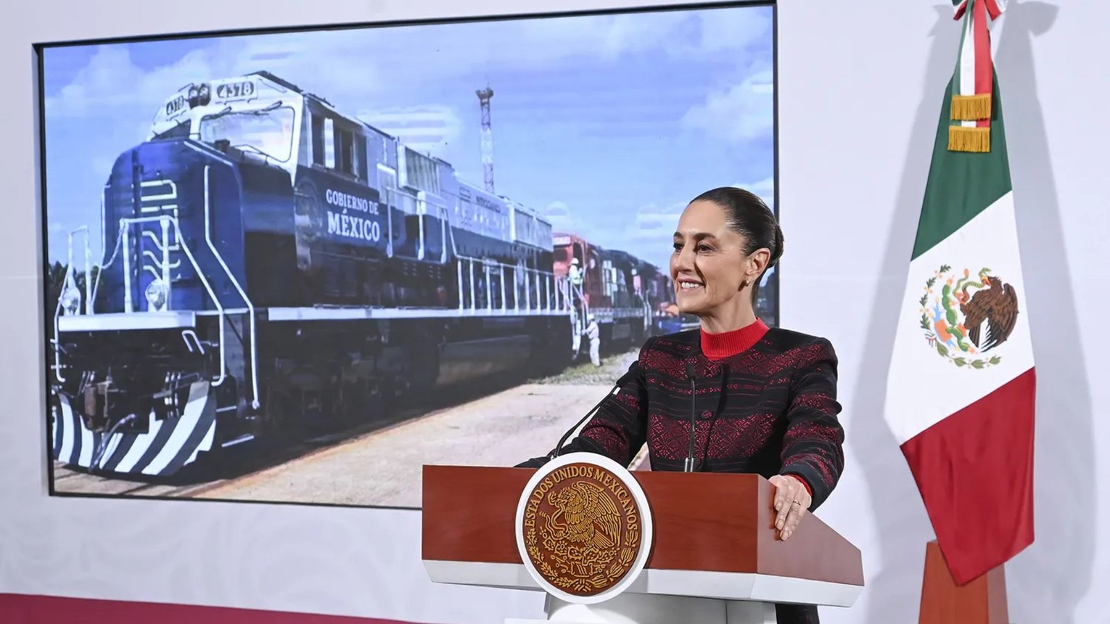 Presentación Libre Producto (41)