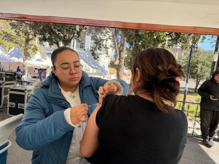 WhatsApp-Image-2026-01-31-at-17.18.06-1024x768