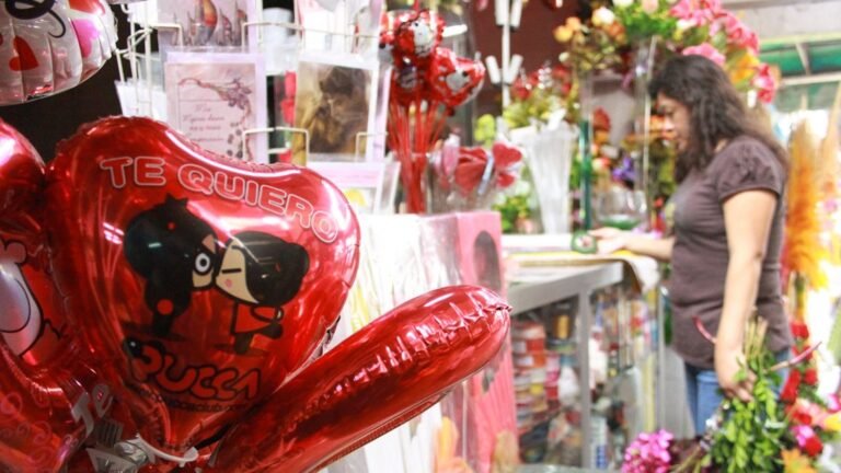 Whats_App_Image_2026_02_12_at_1_52_18_PM_1_3afea07c4d