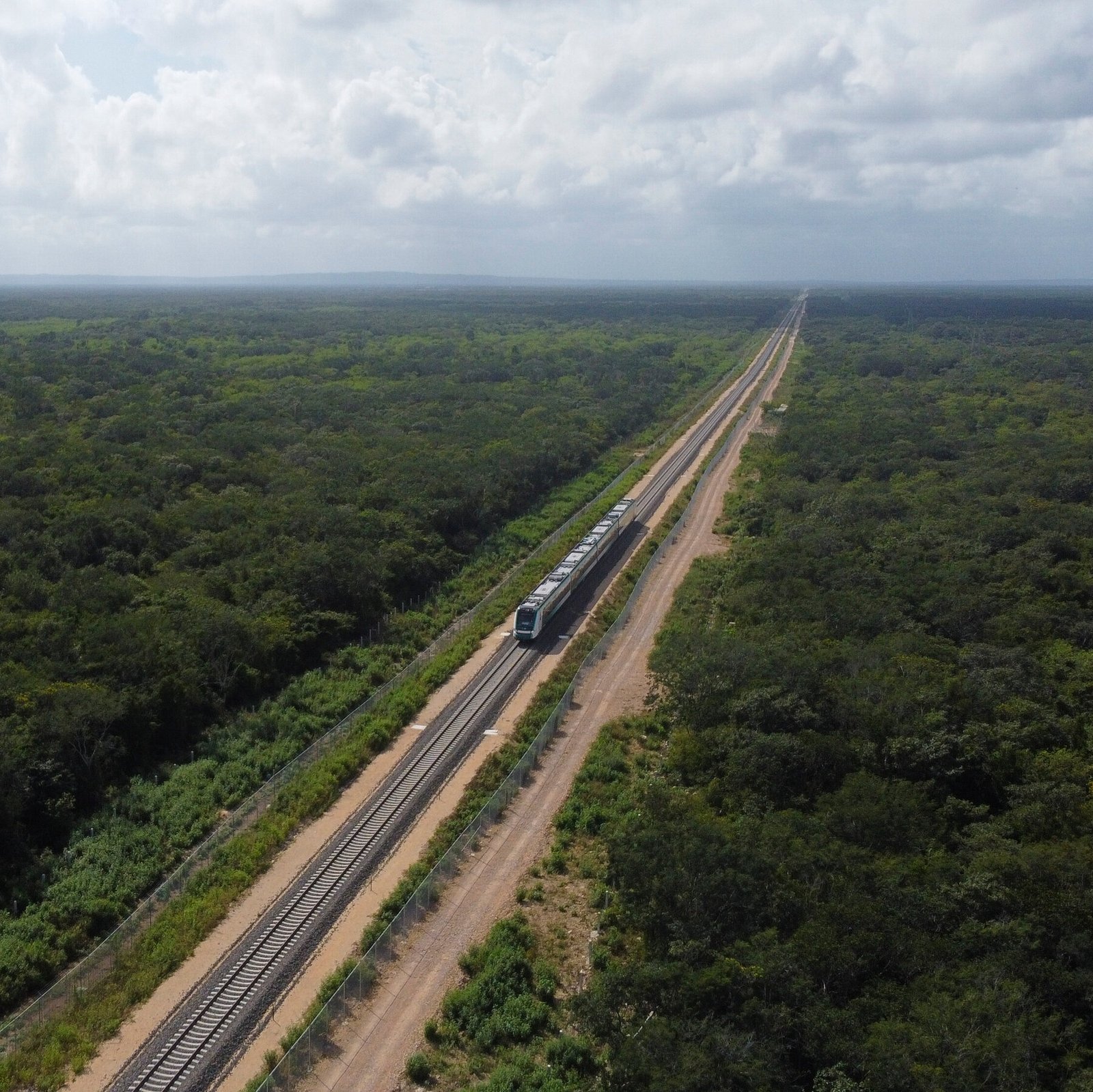 00Maya-Train-cztw-mediumSquareAt3X