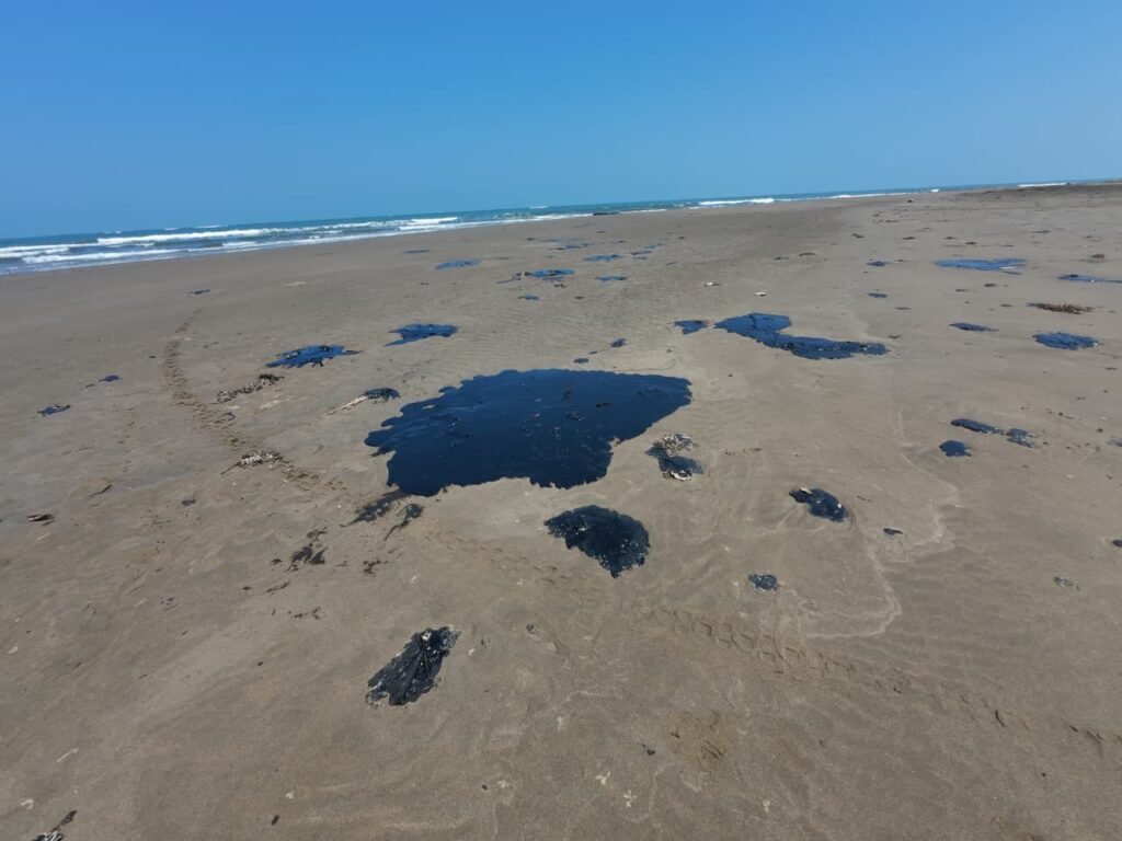 Perla-del-Golfo-15-marzo_3-1024x768