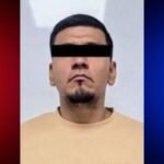 Plecas e informacion