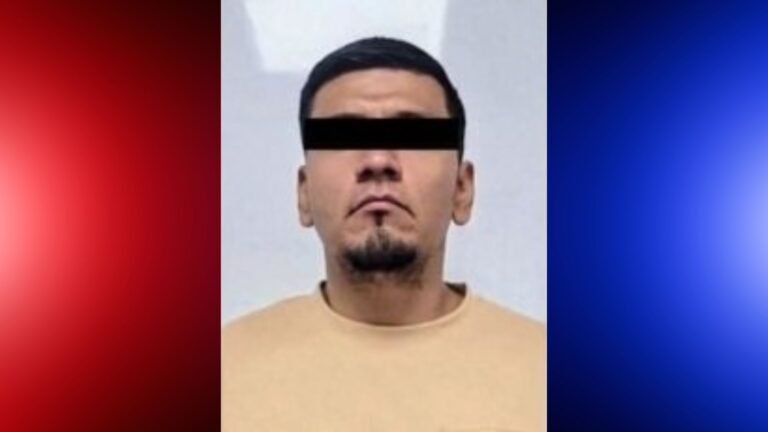 Plecas e informacion