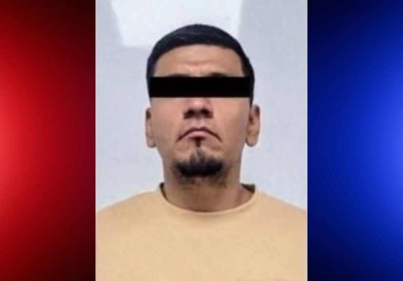 Plecas e informacion