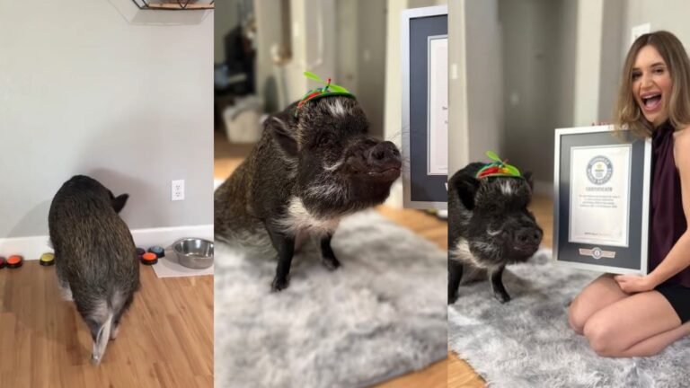 Presentación Libre Producto - 2026-03-20T171840.009