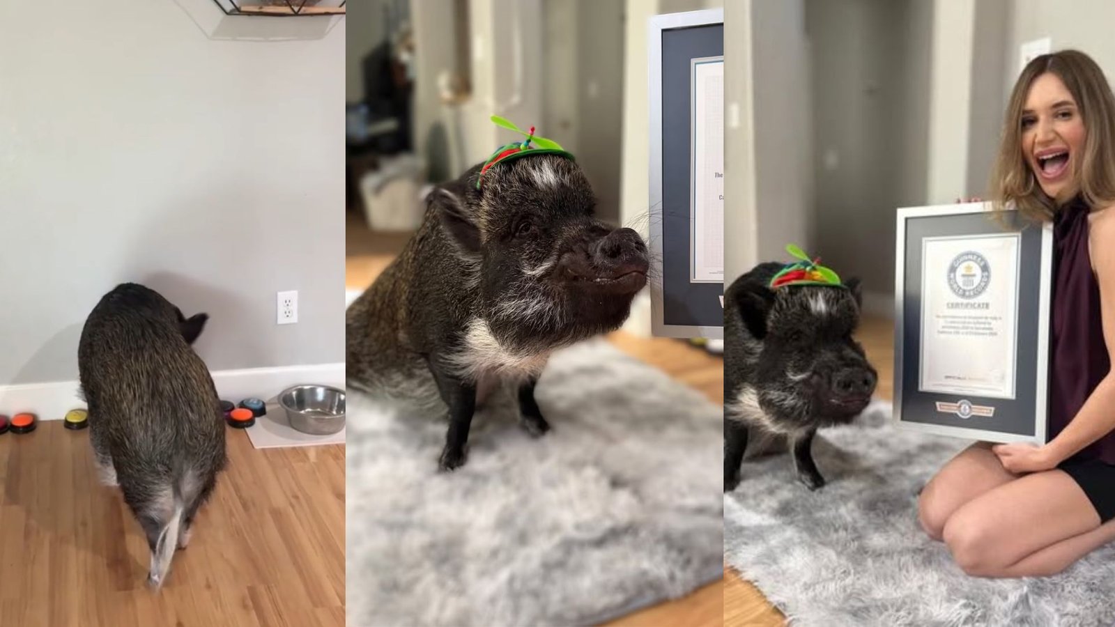 Presentación Libre Producto - 2026-03-20T171840.009