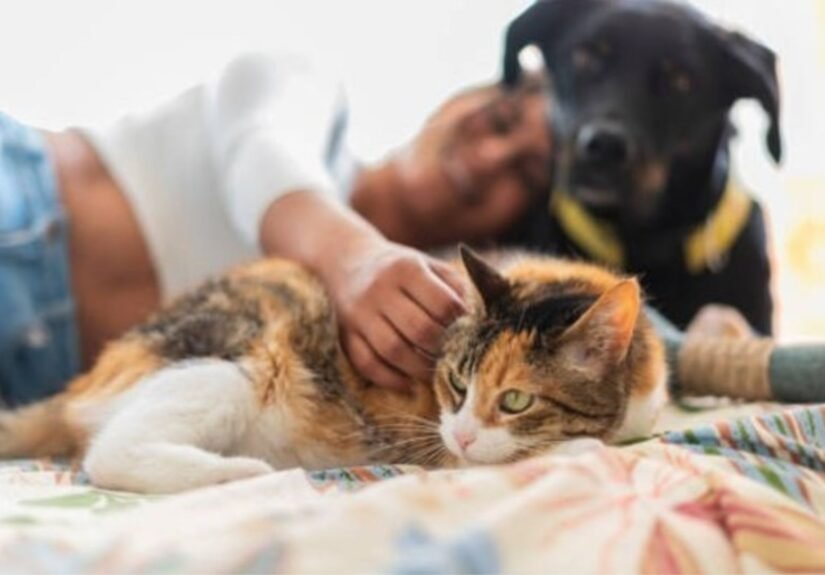 Presentación Libre Producto - 2026-03-24T174823.260