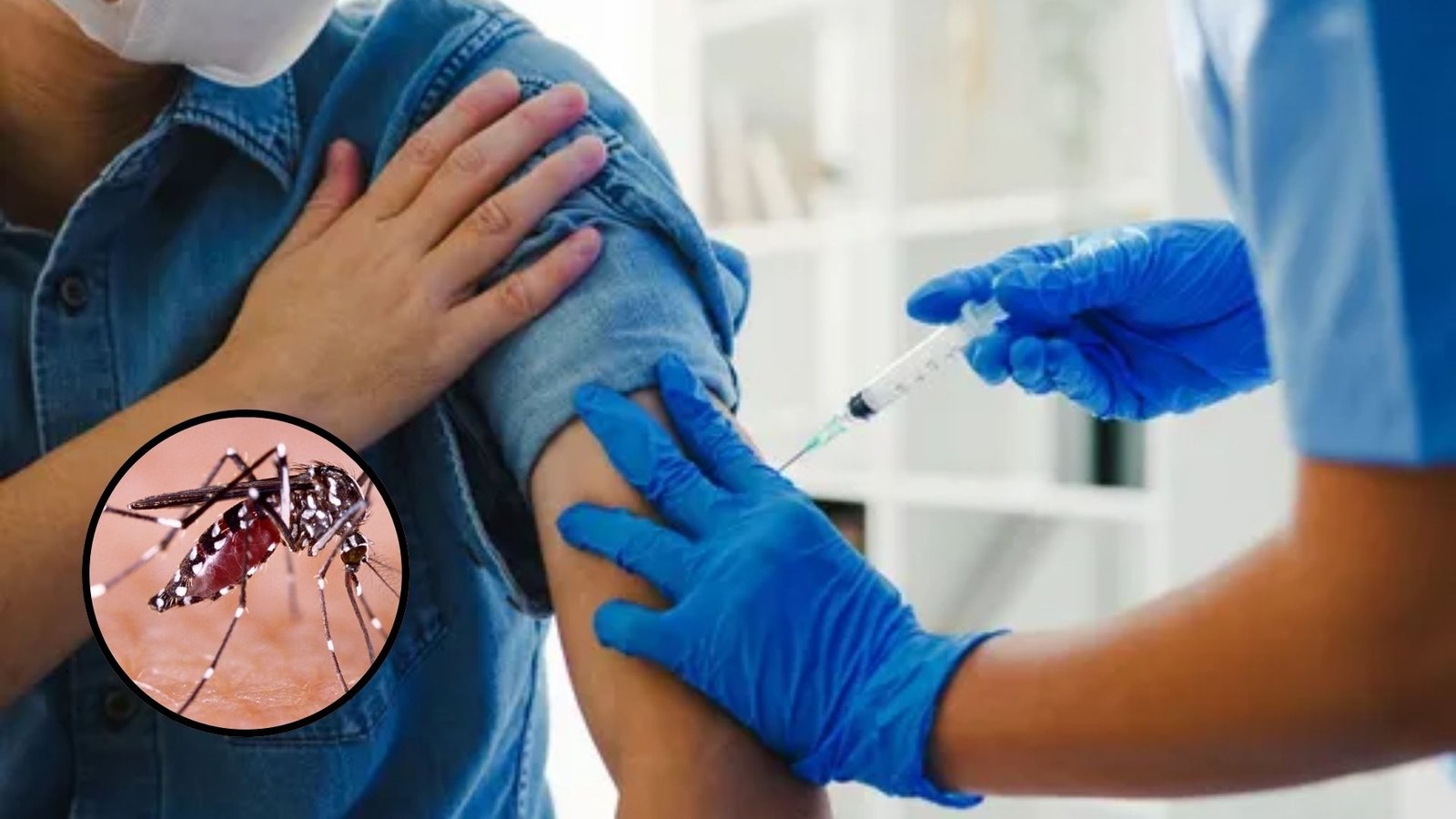 Presentación Libre Producto (59)