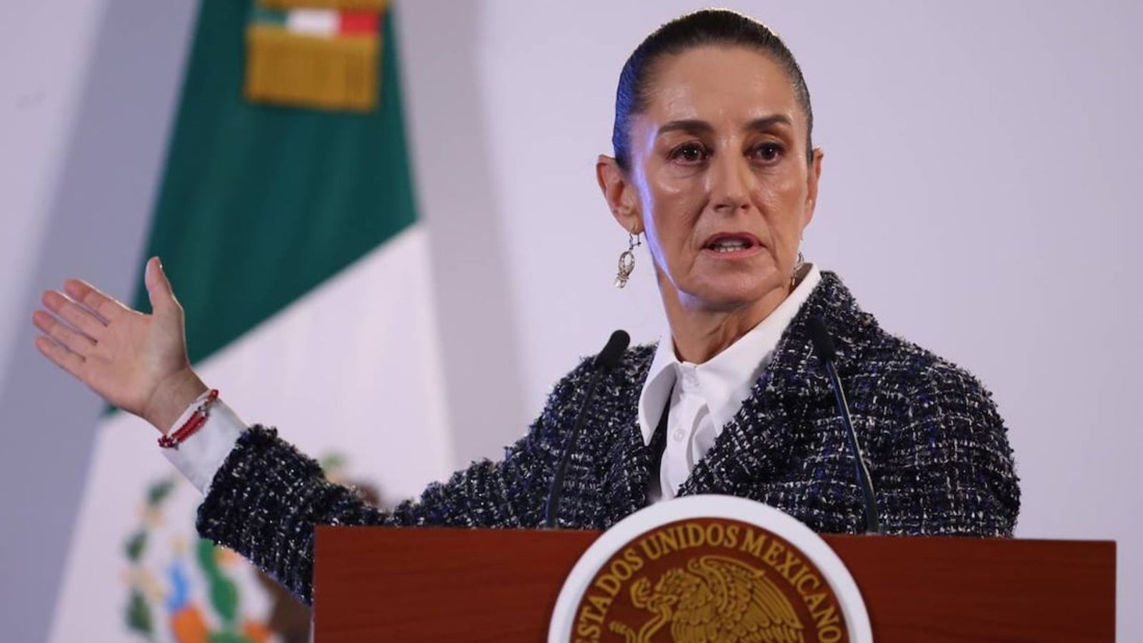 Presentación Libre Producto (80)