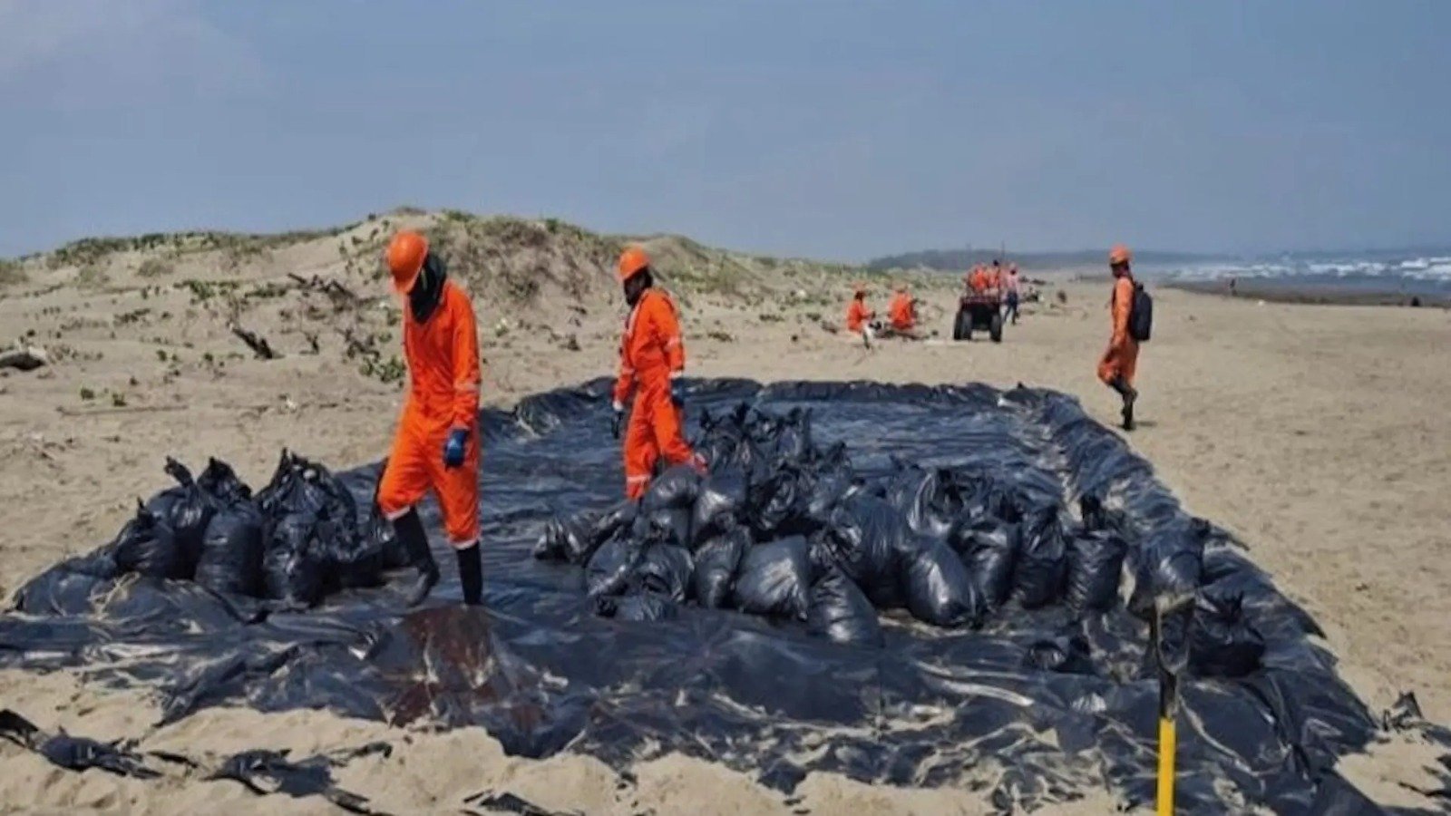 WhatsApp Image 2026-03-22 at 7.20.01 PM