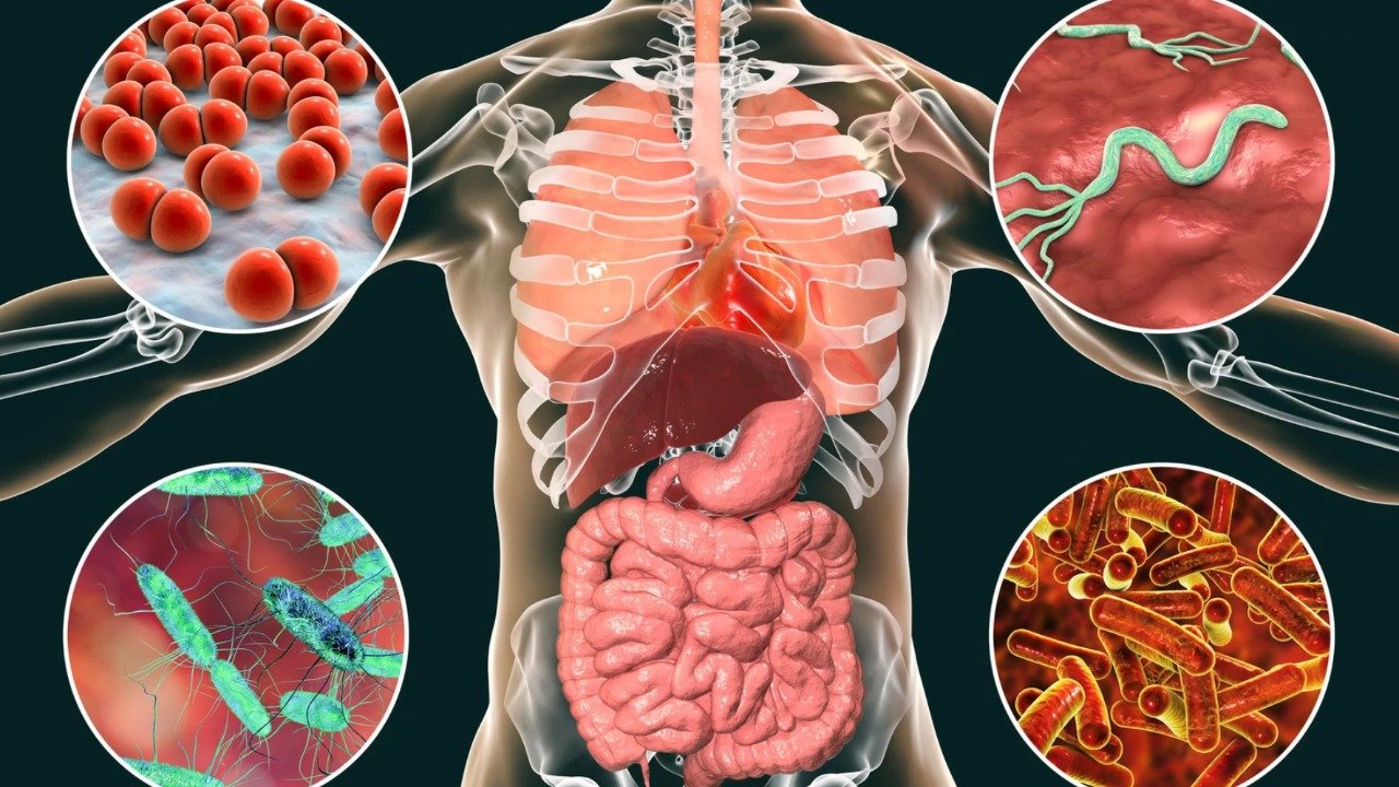 WhatsApp Image 2026-03-24 at 11.21.27 AM