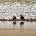 Whats_App_Image_2026_03_09_at_3_25_37_PM_b56785a840