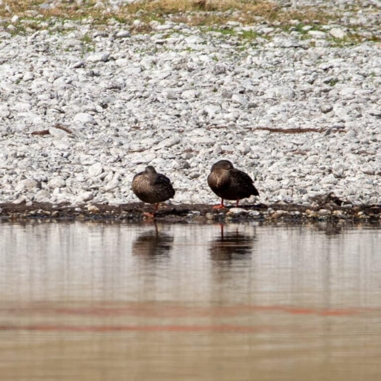 Whats_App_Image_2026_03_09_at_3_25_37_PM_b56785a840