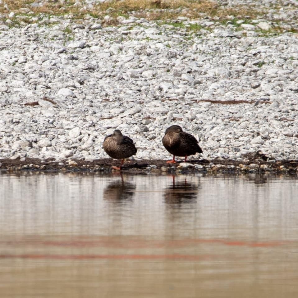 Whats_App_Image_2026_03_09_at_3_25_37_PM_b56785a840