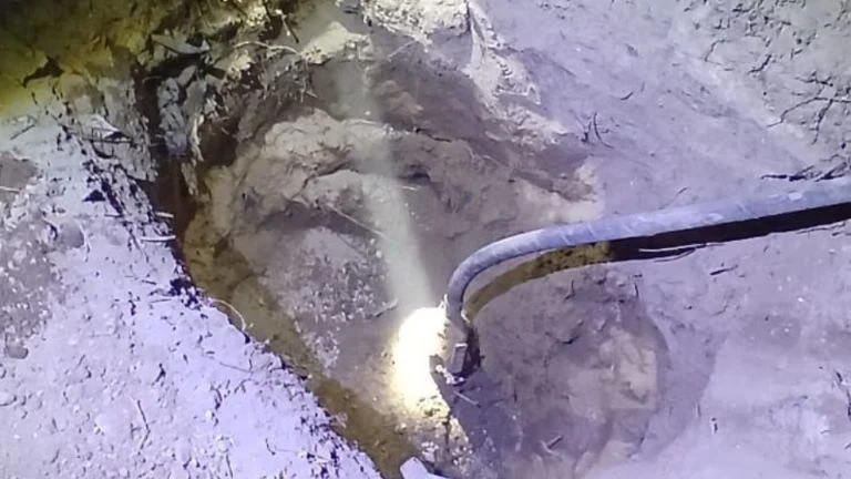 f768x1-340393_340520_5050