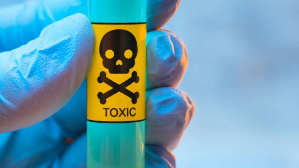 f960x540-295793_369868_5050