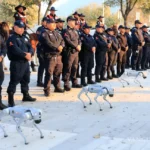 image-whatsapp-image-2026-03-24-at-12-11_1-14855342_20260324234814