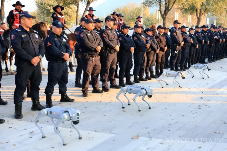 image-whatsapp-image-2026-03-24-at-12-11_1-14855342_20260324234814