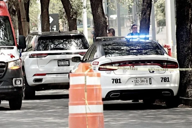 ImageTransformer (1)