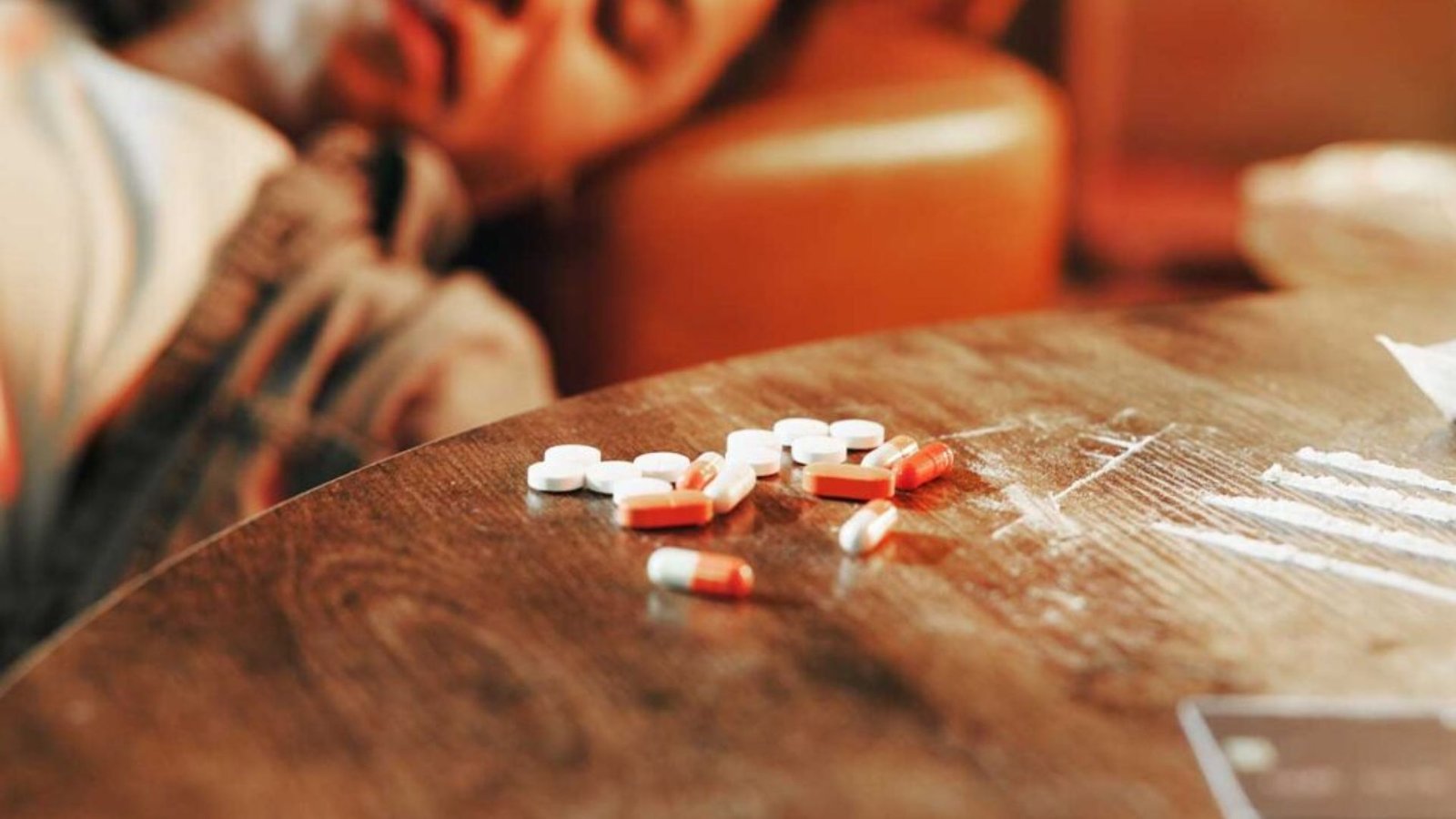 Plecas e informacion (12)