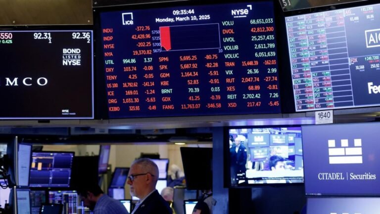 Plecas e informacion (8)