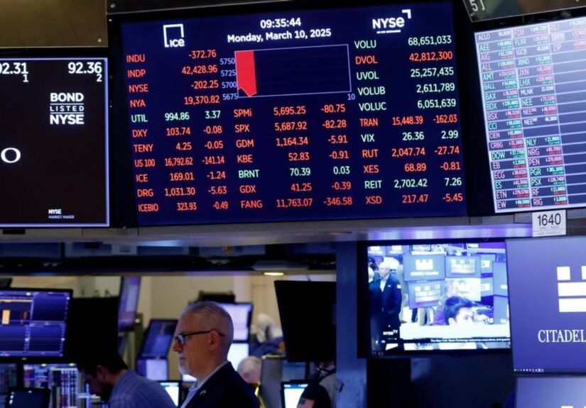 Plecas e informacion (8)