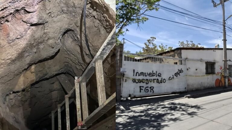 Presentación Libre Producto - 2026-04-09T172522.770