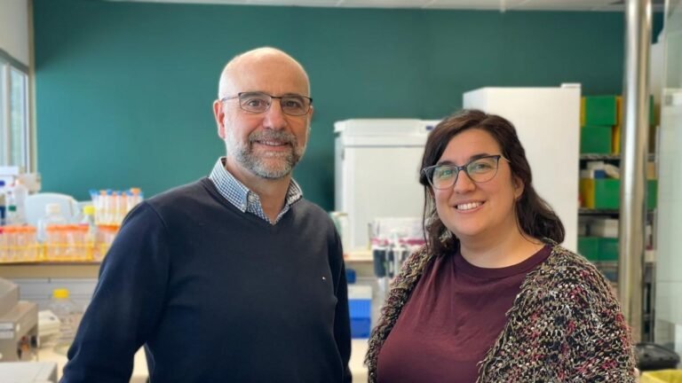 Presentación Libre Producto - 2026-04-13T165754.906