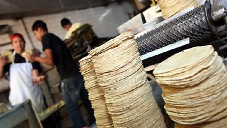 Presentación Libre Producto - 2026-04-14T160602.051