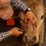 Presentación Libre Producto - 2026-04-15T180201.682