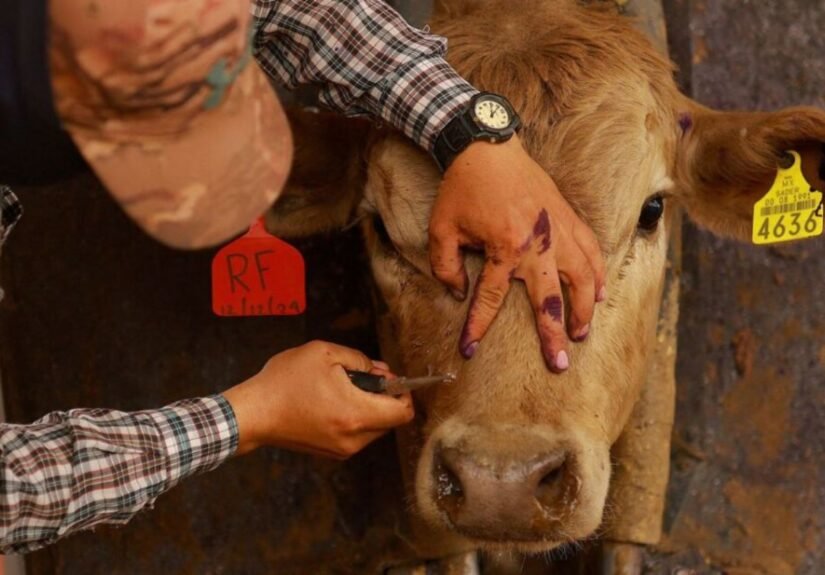 Presentación Libre Producto - 2026-04-15T180201.682