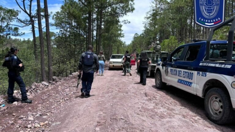 Presentación Libre Producto - 2026-04-21T170746.928