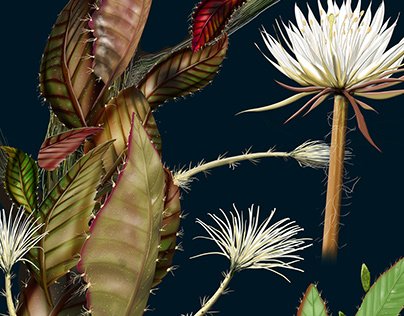 b4bc2d93666163.Y3JvcCwyMDQ4LDE2MDEsMTUyLDM3MA