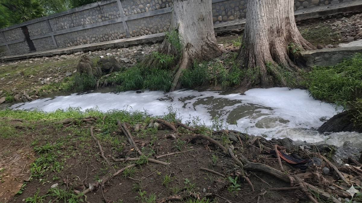 dependencia-federal-concluyo-dara-seguimiento