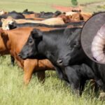 f960x540-731871_805946_5050