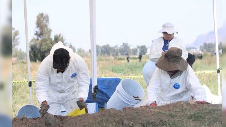 hallan-317-restos-oseos-en-zona-del-lago-de-chalco-investigan-su-origen-110716-1024x576
