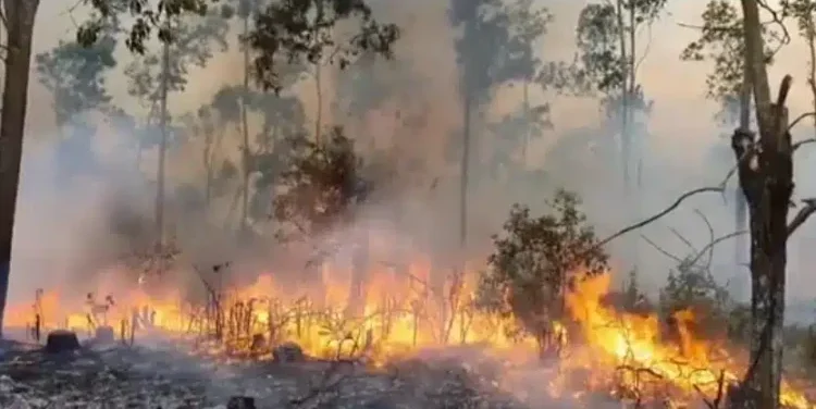 incendio-e1745412111889