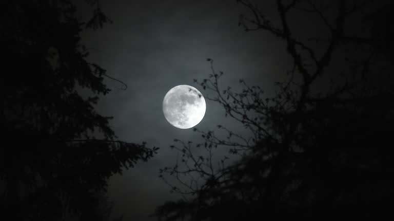 istockphoto-1215618506-640x640