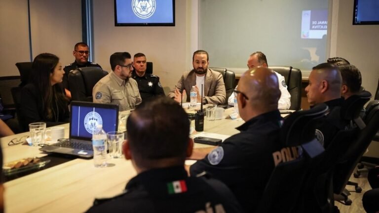 large_Farah_2a15cac4f6