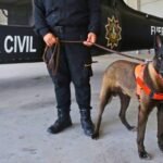 large_INFO_7_UNA_FOTO_4_695bfbf5bd